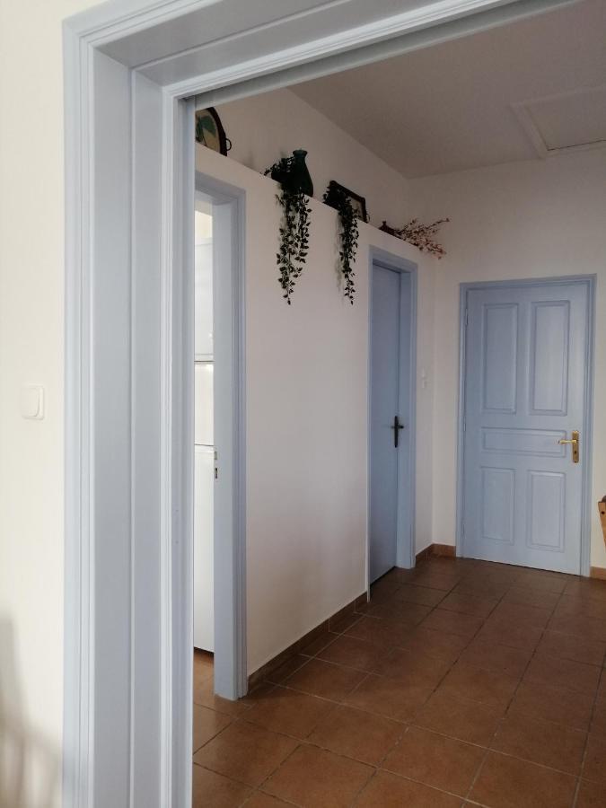 Aegina Port Apt 2-Διαμέρισμα Στο Λιμάνι Της Αίγινας 2 Zewnętrze zdjęcie